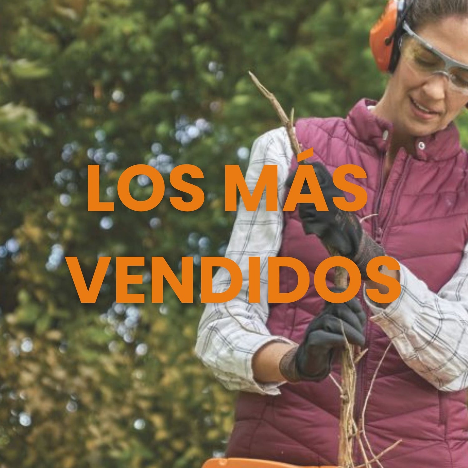 Más vendidos